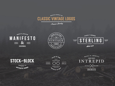 Classic Vintage Logo Kit badge branding bundle icon logo minimalist retro type typography vintage