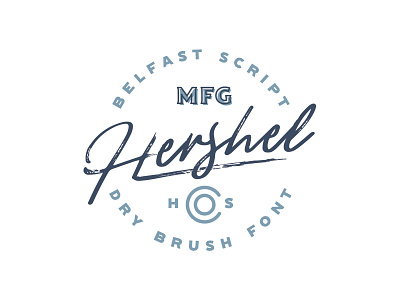 Belfast - A Dry Brush Script brush calligraphy brush font brush lettering brush script custom lettering script font typeface typography