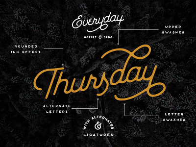 The Everyday Font Duo - On Creative Market