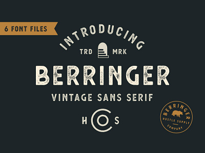 *NEW* Berringer - A Vintage Sans Serif branding font logo retro sans serif type typeface vintage vintage logo vintage sans serif