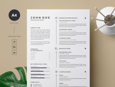 Web Developer Resume Template by Click Paint on Dribbble