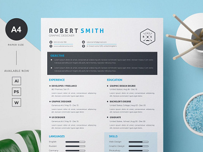 Modern Resume Template by Click Paint on Dribbble