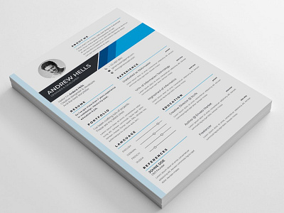 Professional Resume Template teachers resume