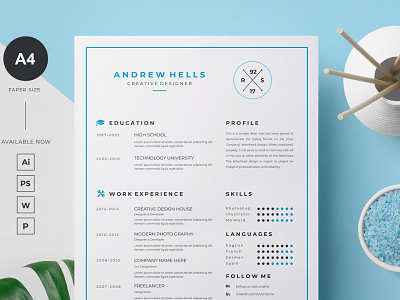 Clean Resume Template teachers resume