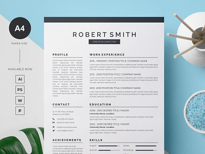 Professional Resume Template teachers resume