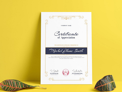 Appreciation Certificate Template Design protected certificate