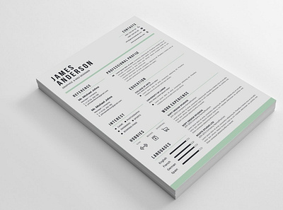 Professional Resume Template branding teachers resume ui