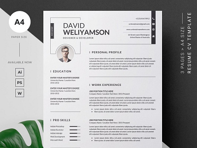 Clean Resume Template branding teachers resume ui