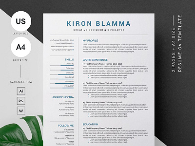 Professional Cv Template branding teachers resume ui