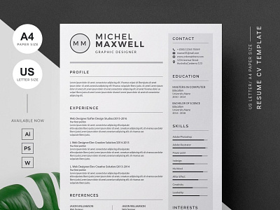 Professional Resume Cv Template teachers resume