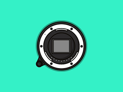 01. Photography about me branding full frame icon interests neon photography teal
