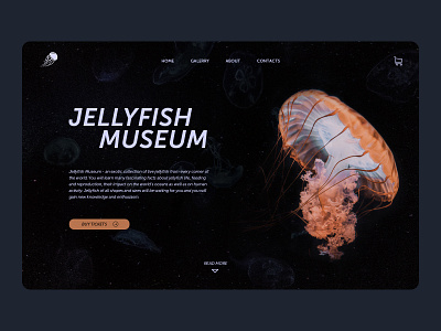 Jellyfish Museum. Design concept concept design jellyfish ui ux web webdesign