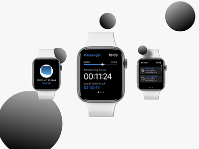 ForeFlight Passenger on Apple Watch apple design flight swift ui watch weather
