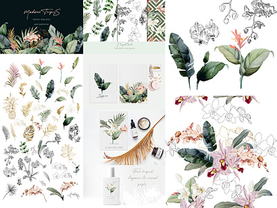 Madame tropics. Set of vector compositions, patterns and cards botanical branding creative design elements floral flower graphic graphic design illustration invitation palm pattern save the date tropic tropical vector vintage wedding