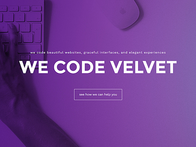 Velvet Splash Screen coding homepage purple website