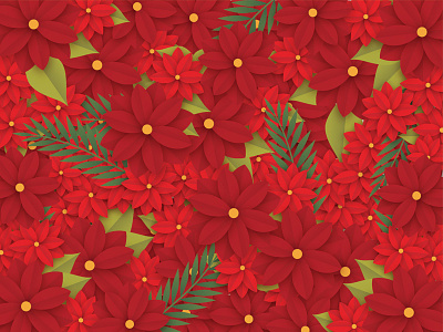 Pointsettias christmas festive flower holiday illustration poinsettia red vector