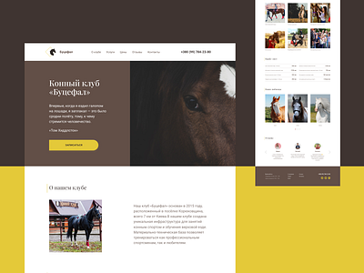 Website concept for horse club figma horse landing page uxui web design