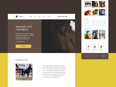 Website concept for horse club