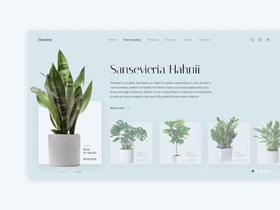 Concept of plants concept design ui ux web design