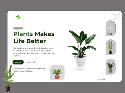 Plant Banner agency services page branding design figma ui ux web
