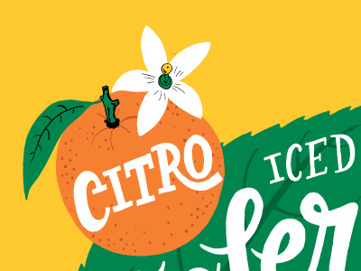 Citro fruit illustration label lettering