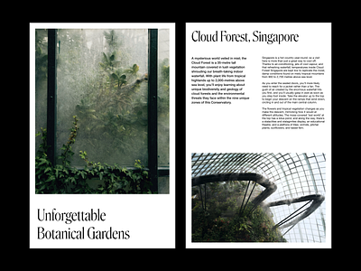 Botanical Gardens - Layout architecture clean concept layout layout exploration minimal typogaphy typography ui