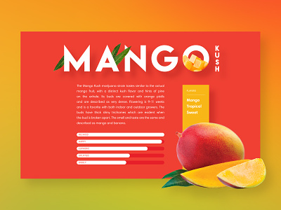Mango Kush cannabis fruit mango