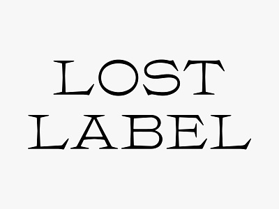 Lost Label I clothing custom type lettering logo logo design type