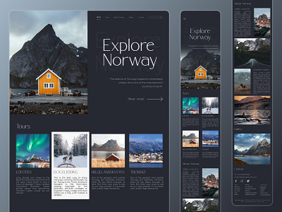 Explore Norway Travelling website landing page mobile norway opentowork travel ui uxui web website