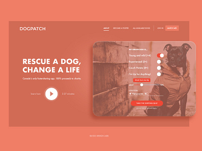 Dogpatch branding cards design interface orange pet red ui warm web design