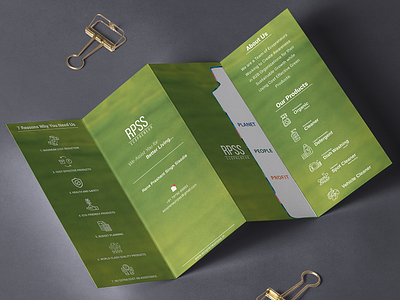 Quad Fold Brochure Designs Themes Templates And Downloadable Graphic Elements On Dribbble