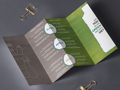 quad fold brochure illustrator templates