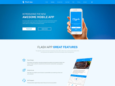 Flash App app landing page template ui