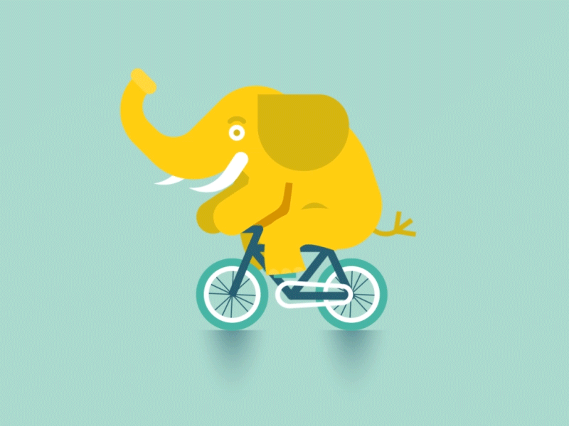 Steph is moving! after effects animation bicycle elephant gif illo riding rigging yellow