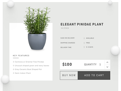 Product Page buy cart clean details ecommerce organic plant product typography