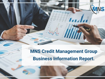 Business Information Report | MNS Credit Management Group business information report debt collection agency debt management company due diligence report international debt collection