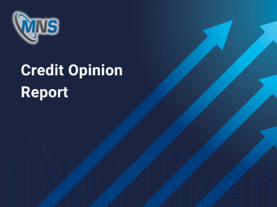 Credit opinion report