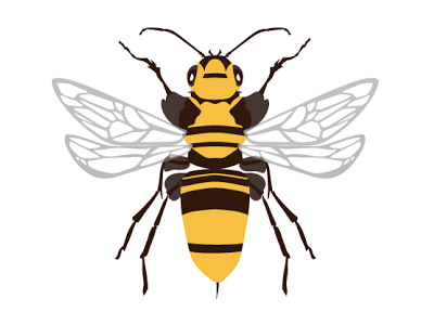 Bee bee black and yellow design logo the bees knees vectors