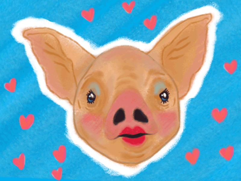 Lipstick on a pig editorial gif illustration makeup onboarding photoshop pig