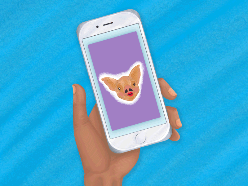 Swipe Tutorials, Just lipstick on a pig? editorial gif illustration mobile onboarding photoshop pig ux
