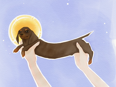 The Longest Boy adobesketch applepencil digital dog illlustration suchbeauty watercolour weinerdog