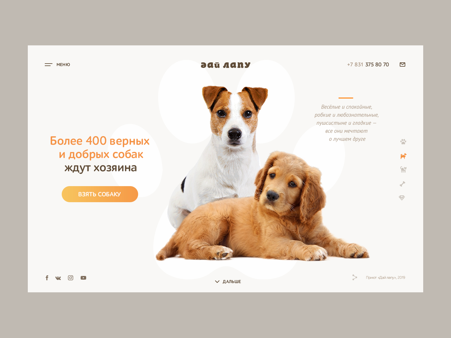 animal shelter digital media kit