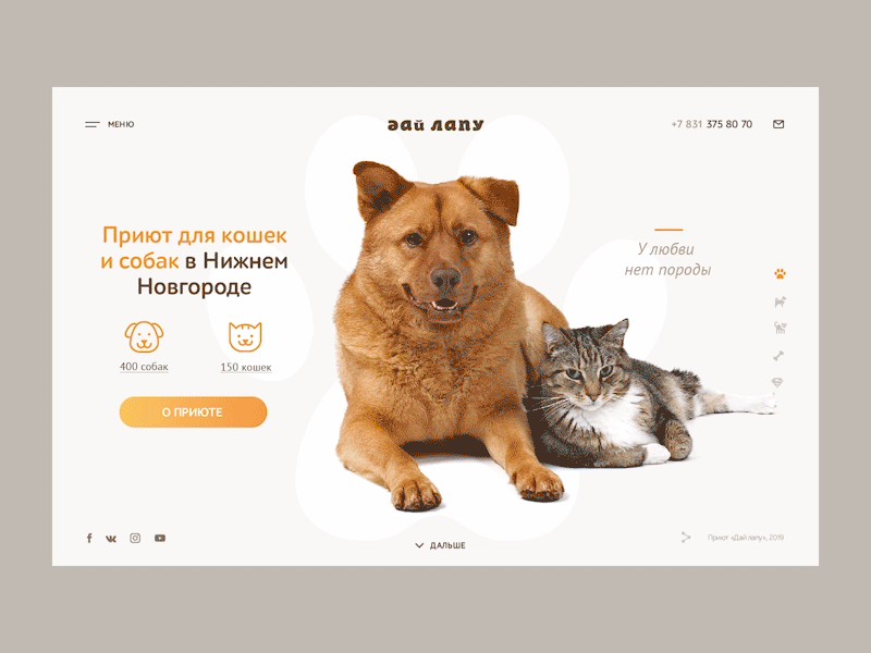 Animal shelter — homepage