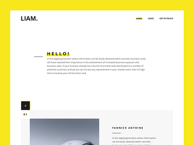 Portfolio website design - Liam