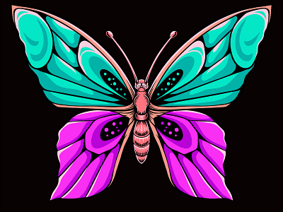 butterfly vector design with multiple colors pretty