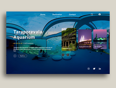 Taraporevala Aquarium Mumbai graphic design ui user experience user interface ux web design