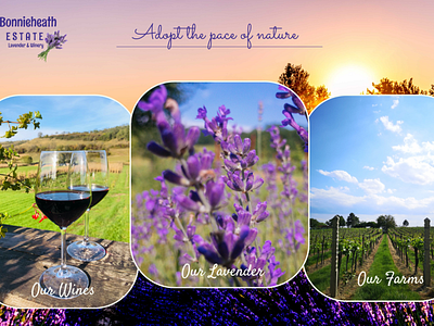 Landing Page for Farms &Winery branding farms figma graphic design illustration lavender logo photoshop ui winery