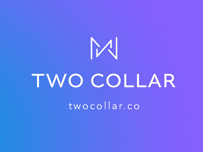 Twocollar.co Branding branding illustration logo design uiux