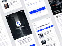 ToolsGroup Logo & Website