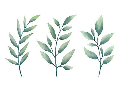 Watercolor leaf digital illustration